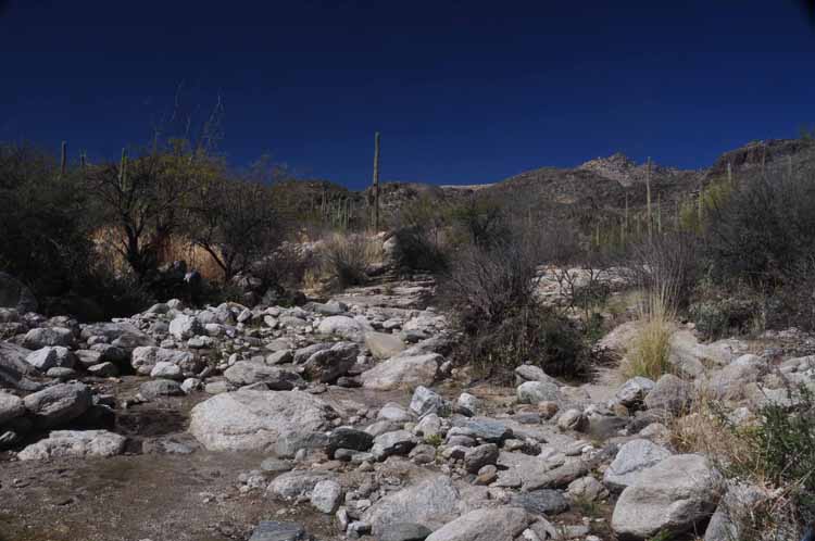 trail wash